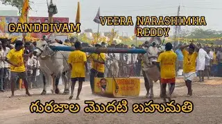 SSR BULLS🔥గాండీవం🤝వీరనరసిహారెడ్డి🔥గురజాల మొదటి బహుమతి #ongolebulls #trending #viralvideo #animals 