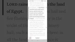 The Fifth Plague #exodus 9 #father #jesus #holyspirit #lord #bible #good #love #youtubeshorts