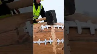 Rescue this GIANT Komodo dragon now &mdash; break the wooden football with a massive hammer