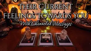 Their Current Feelings Towards You ❤️&zwj;🔥 #channelmessages #pickacard #currentfeelings #timeless