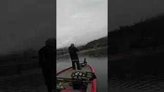 Rock-Hugging Winter Bass