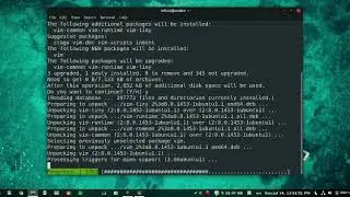installing VIM in UBUNTU/LINUX