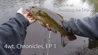 Fly Fishing: 4wt Chronicles, EP 1- Breaking in the New 4 wt, and Practicing the Strip Set.