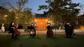 첼로로 시작하는 첫 수다 ｜Besame Mucho