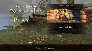 Neverwinter live stream#12