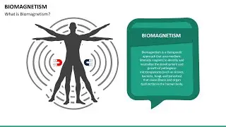 Biomagnetism Animated Presentation Slides