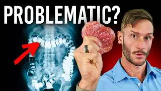 The Surprising Impact of Red Meat on Gut Health
