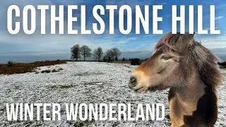 Cothelstone Hill Pony Paradise - in the snowy Quantock Hills, Somerset |