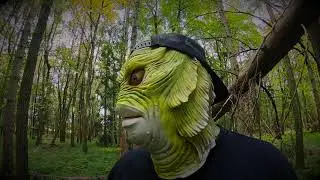 Insect Nightmares - Sam Russo (The Lillingtons Cover)