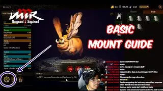 MIRM - Basic Mount Guide | Mount Gear | Mount Skill Level