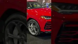 *NEW* 2023 Lamborghini Urus 😈