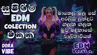 Top Sinhala EDM Songs & AI Remixes |  EDM Song Collection #remixsong #music #edmmix #edm