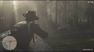 Perfect Panther Pelt Hunt RDR2: Silent Stalking