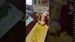 Spiralizer Video 2