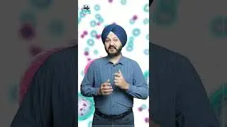 Why Knees Don&rsquo;t Heal Like Skin | Cartilage Damage & Arthritis Explained by Dr. P.S. Nagpal