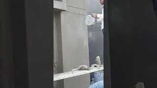 plaster work | Dana plaster| water proof| civil giyan