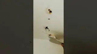 ceiling hole kesy band kerty hn,pak Anmol TV F9,