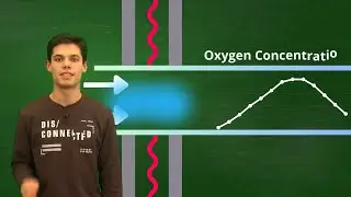 MEFT-PIC2: 