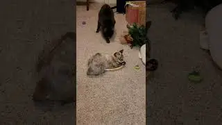 MAXIMUM DIG TIME