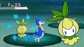 [Live] Shiny Petilil in 30 REs (Pokemon White)