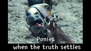 XBOTS VS PONY DEBATE Puertorock77  VS Jay.Sentries