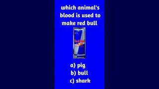 animals travia test ? #shortsfeed