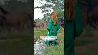 This never gets normal. Follow for the rarest rides on earth. #horses