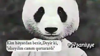 Soundus. APP