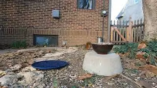 Birds in the Fall #pets  #pettv  #birds