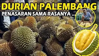 DURIAN PALEMBANG WARNANYA KUNING BANGET , DIJUAL UDAH PADA PECAH ! RASANYA KAYAK APA SIH ?