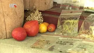 Biodinamička poljoprivreda | Plodovi zemlje