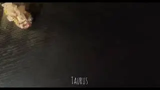 Taurus ♉ ... What you've been missing!! 🫨 #tarot #taurus