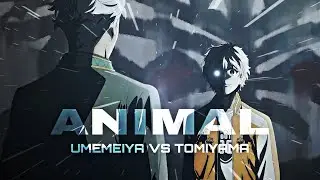 Windbreaker Episode 8 [Edit/AMV] #animeedits #windbreaker #anime