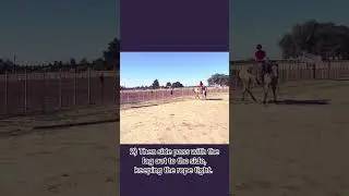 Tip Tuesday: Teaching your horse to drag a log (or other obstacles). #tiptuesday #horsetraining