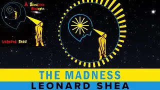 THE MADNESS FROM THE CD A BLINDMAN'S HINDSIGHT BY LEONARD SHEA - LEONARD SHEA MUSIC