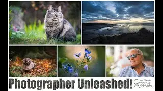 Photographer Unleashed! Online Course Teaser