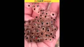 Baby Frog's Unique Defence System #shorts