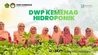 Panen Sayur Hidroponik: DWP Kemenag Buru Teguhkan Peran Perempuan Dalam Ketahanan Pangan Keluarga