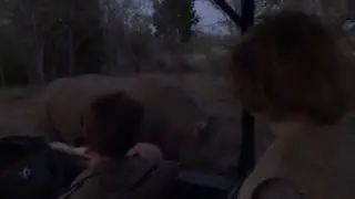 Oct. 01 - 11. Close encounter with White rhino - Entabeni Safari Conservancy. S. Africa 2015