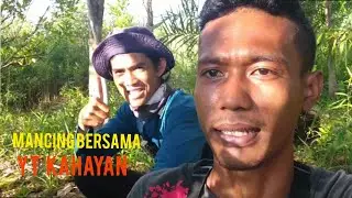MANCING LELE DI SIANG HARI !!! PENGHUNI RAWA-RAWA HUTAN PALANGKARAYA