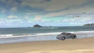 ZYLDAD ANIMATED - Gulls at Car Beach