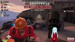 TEAM FORTRESS 2 w/ friends