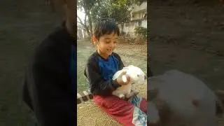 Rabbit Funny doing exercise with Dheer #Rabbit #Exercise