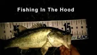 Orange County CA Golf Course Fishing