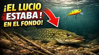 PESCAS EN HIELO EN SILENCIO... o te vas a casa sin nada. La verdad que los veteranos ocultan.