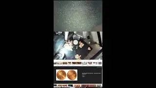 MONEY MONEY MONEY | organizing coins|   pocket change treasure  | Live | USA (Portrait)