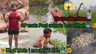 UP Main pani Usmein l machhali Flsh 🐟😱 Kheton mein bhara#😱 🐟🚣🐠#machhali #shortvideo #viralvideo#up 