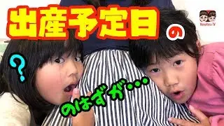 【出産記録】本日出産予定日ですが、、、、【第1063話】