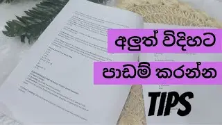 Ways to Study BETTER !!! | CHE JAY