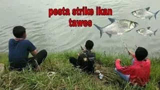 Mancing di sungai | PESTA STRiKE sampe bosan #PART 1 (boedak-plered-purwakarta)